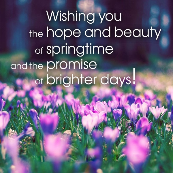 Celebrate Spring